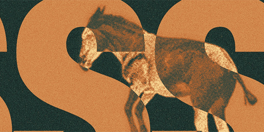 works_creativemuybridgesequence