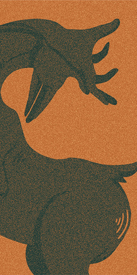 works_tshirtofshadowpuppetdeer