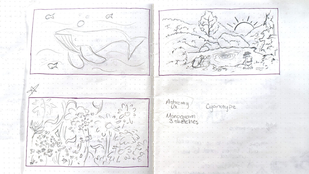 works_trimpaths_concepts